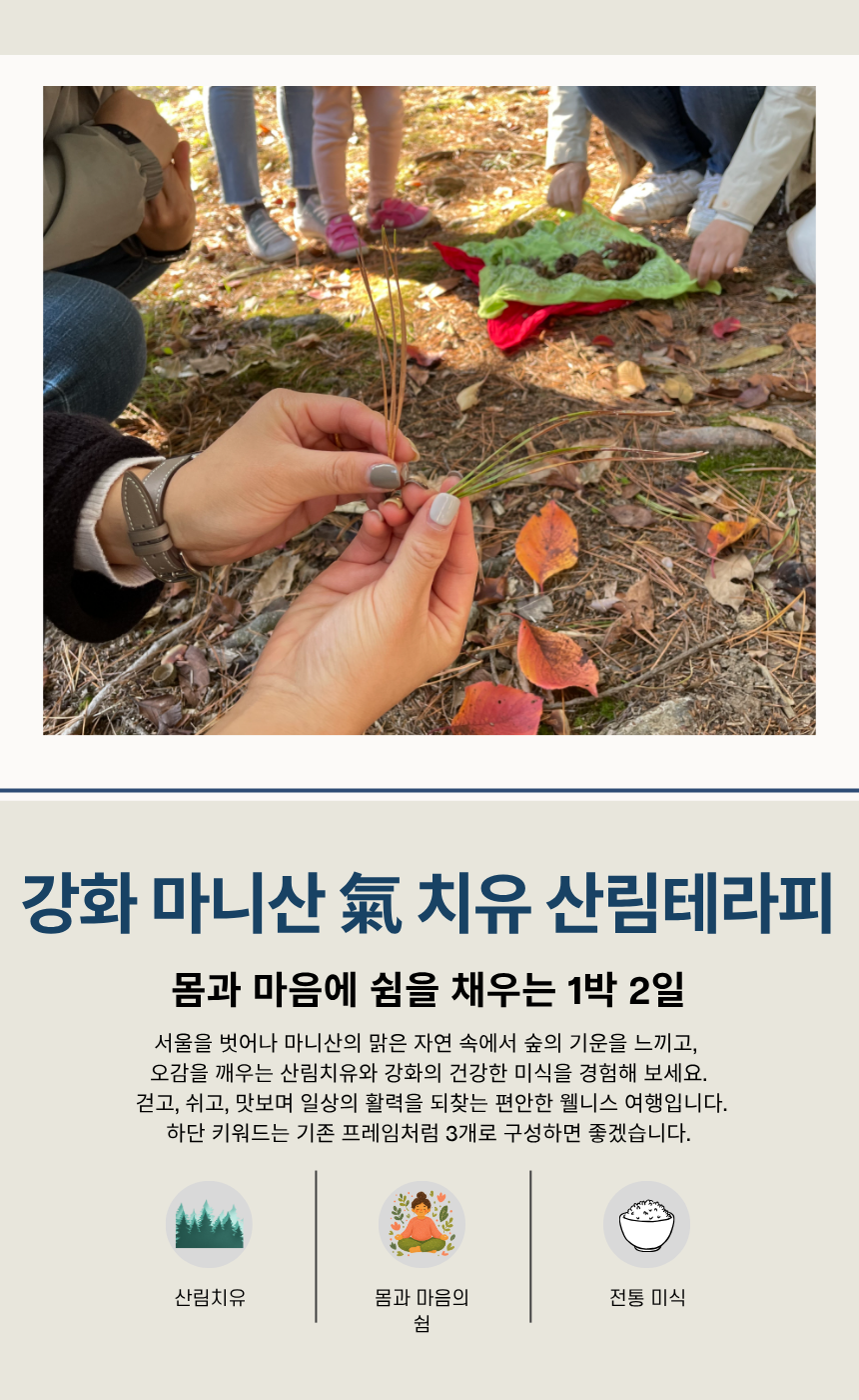 강화 마니산 氣 치유 산림테라피