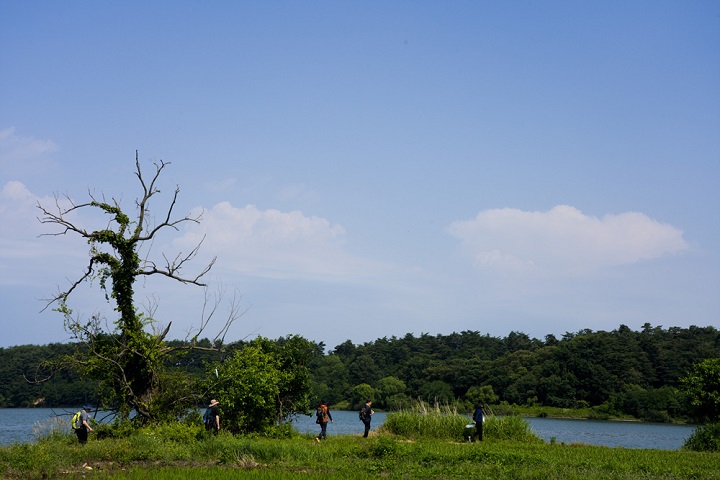 1740f9d563028.jpg