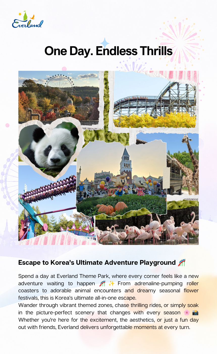 Everland Theme Park - Ticket Only