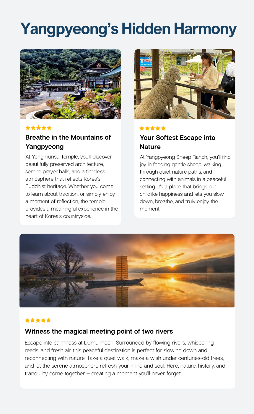 [4/26] Yangpyeong Mountain Herbs & Sheep Ranch Tour