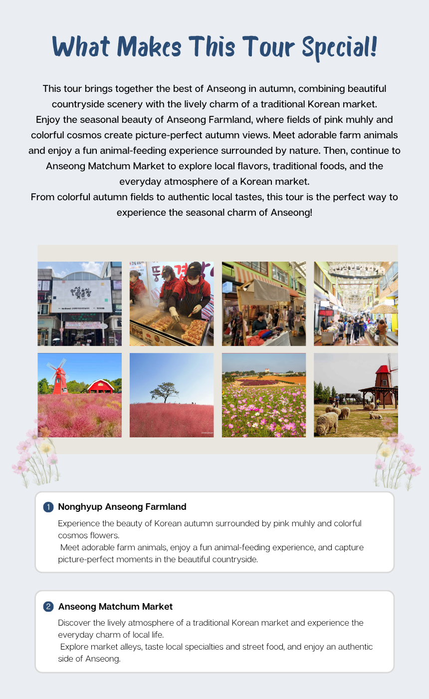 [10/24] EG Tour [T9] Anseong Farmland & Traditional Market Tour (with PINK MUHLY)