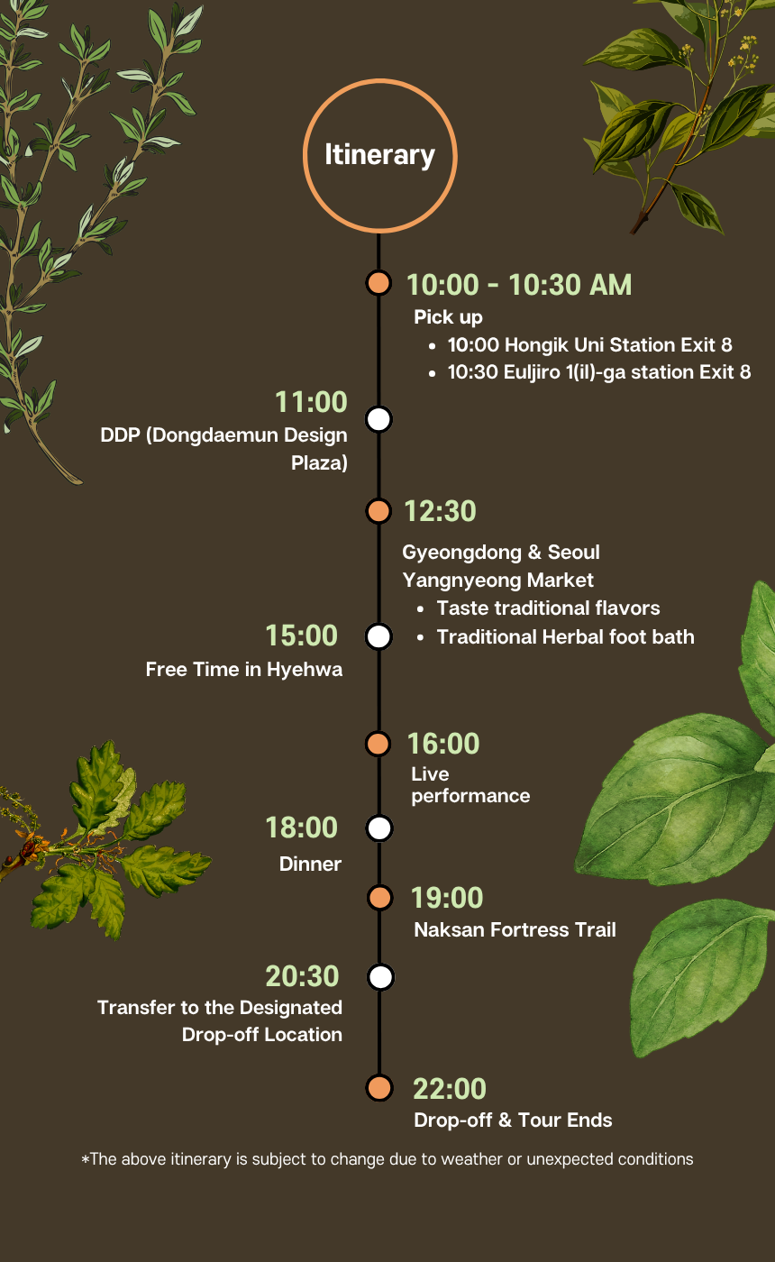 Seoul After Dark: Gyeongdong K-Market & Night Culture Tour
