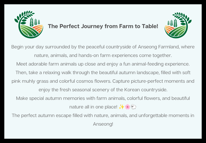 [10/24] EG Tour [T9] Anseong Farmland & Traditional Market Tour (with PINK MUHLY)