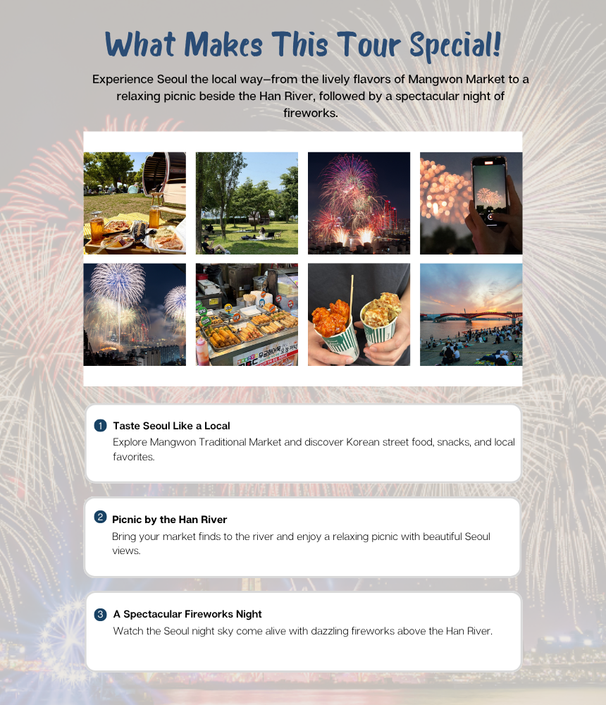 [9/5]Seoul Fireworks Night: Mangwon Market & Han River Picnic