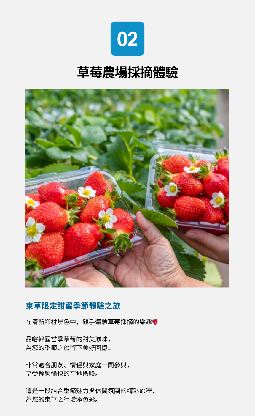 束草海岸&療癒之旅