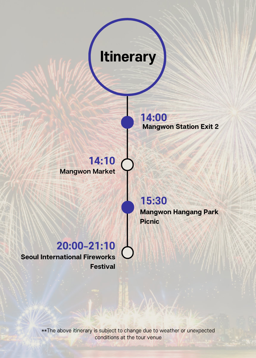 [9/5]Seoul Fireworks Night: Mangwon Market & Han River Picnic