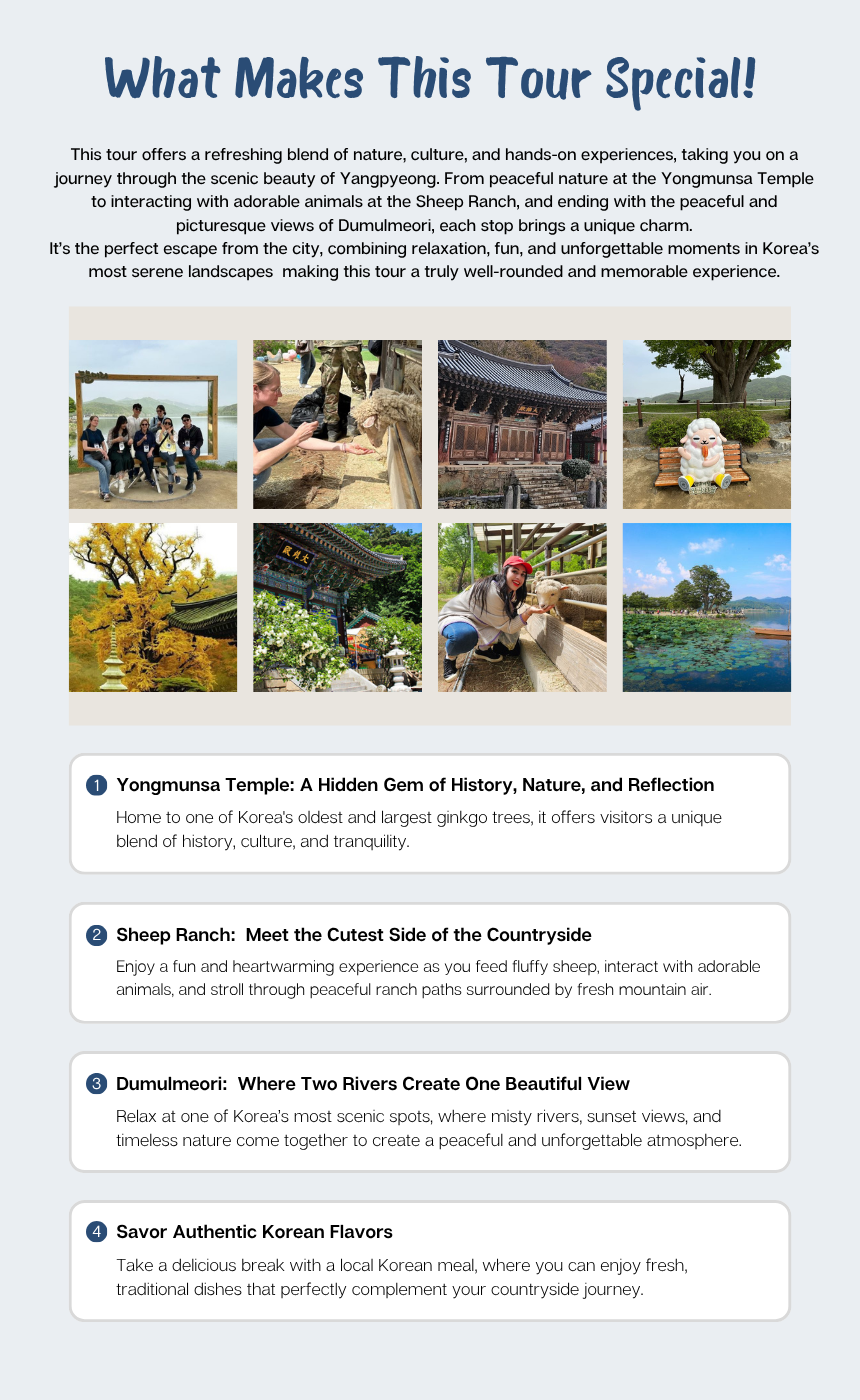 [4/26] Yangpyeong Mountain Herbs & Sheep Ranch Tour