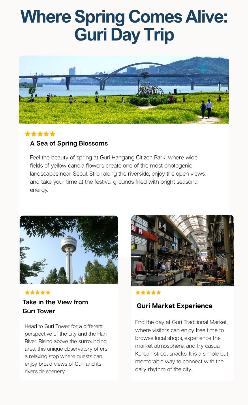 Guri Canola Flower Festival & Traditional Market Tour