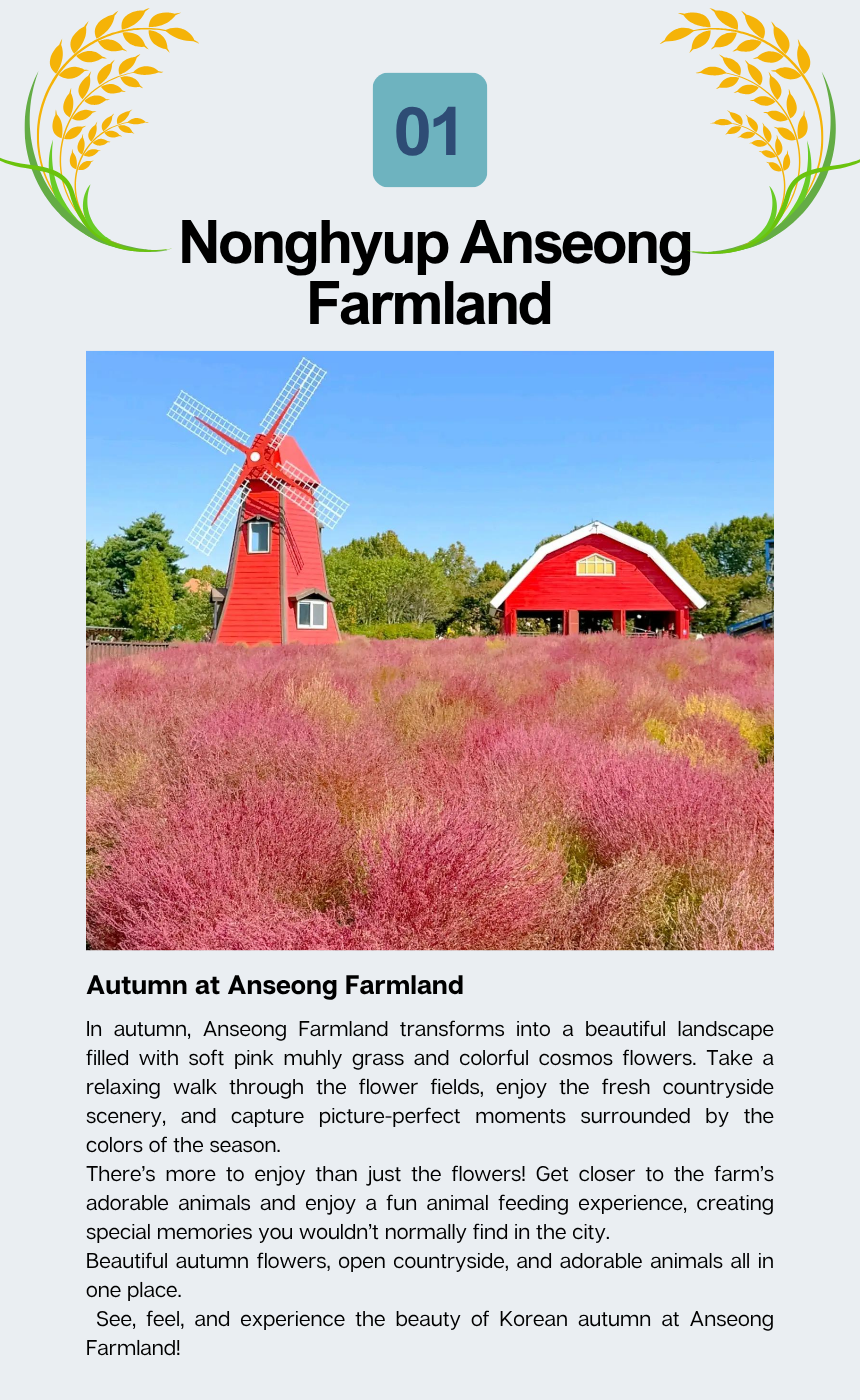 [10/24] EG Tour [T9] Anseong Farmland & Traditional Market Tour (with PINK MUHLY)