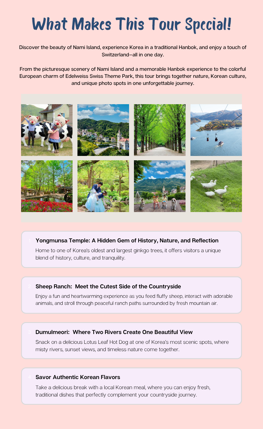 EG Tour [T8] Yangpyeong Temple & Sheep Farm Healing Tour 복제