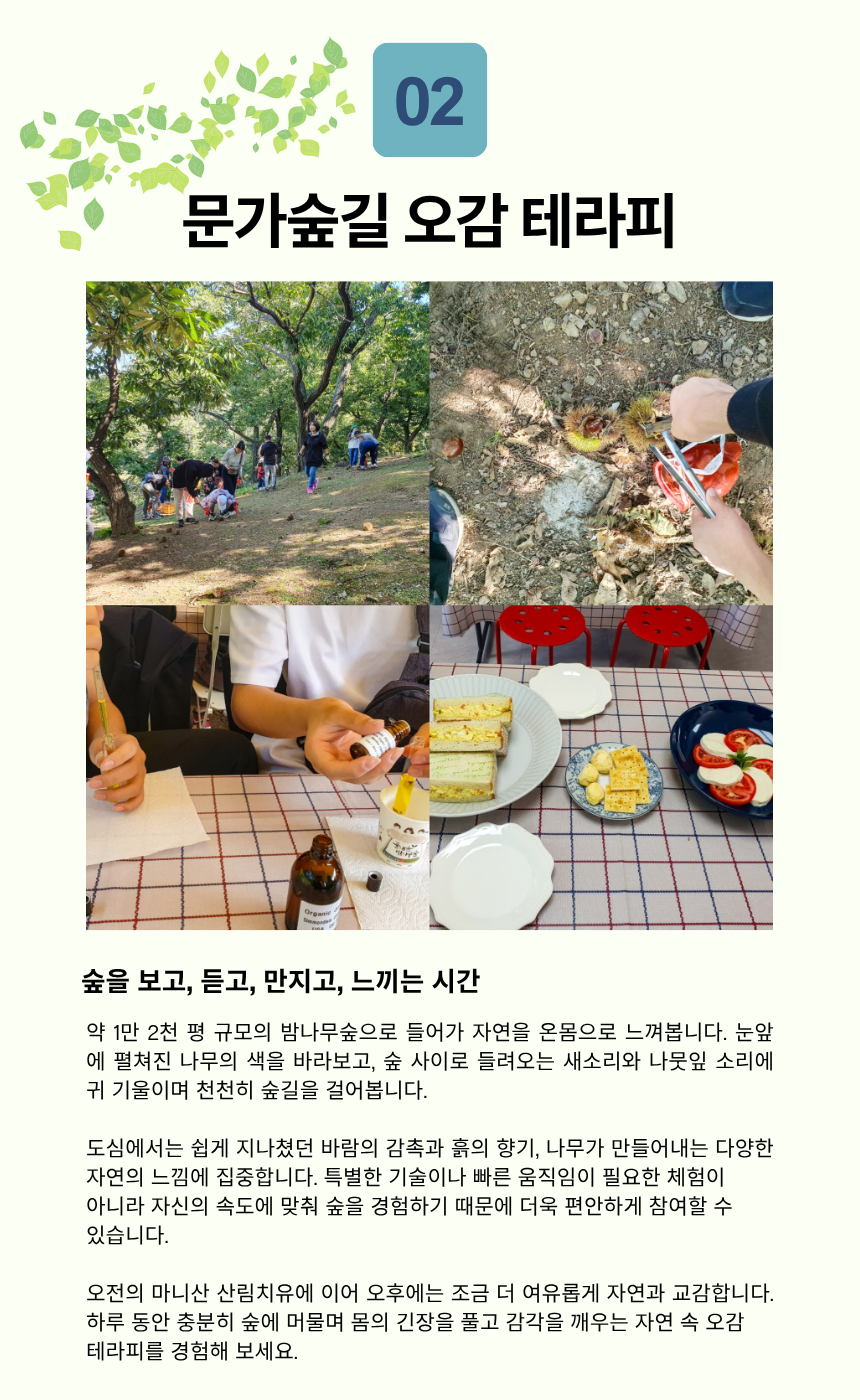 강화 마니산 氣 치유 산림테라피