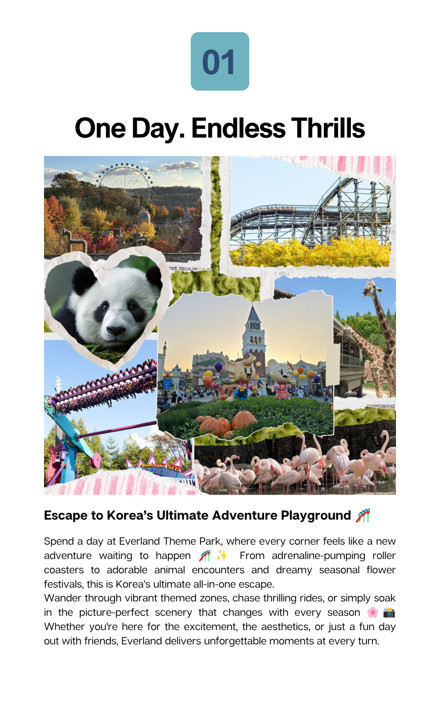[6/13, 6/27] Everland Theme Park & Yongin Market Day Tour