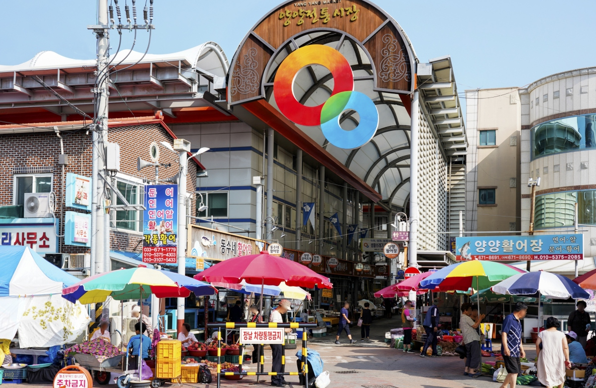 YANGYANG SURFING DAY : Korea Tour Planner