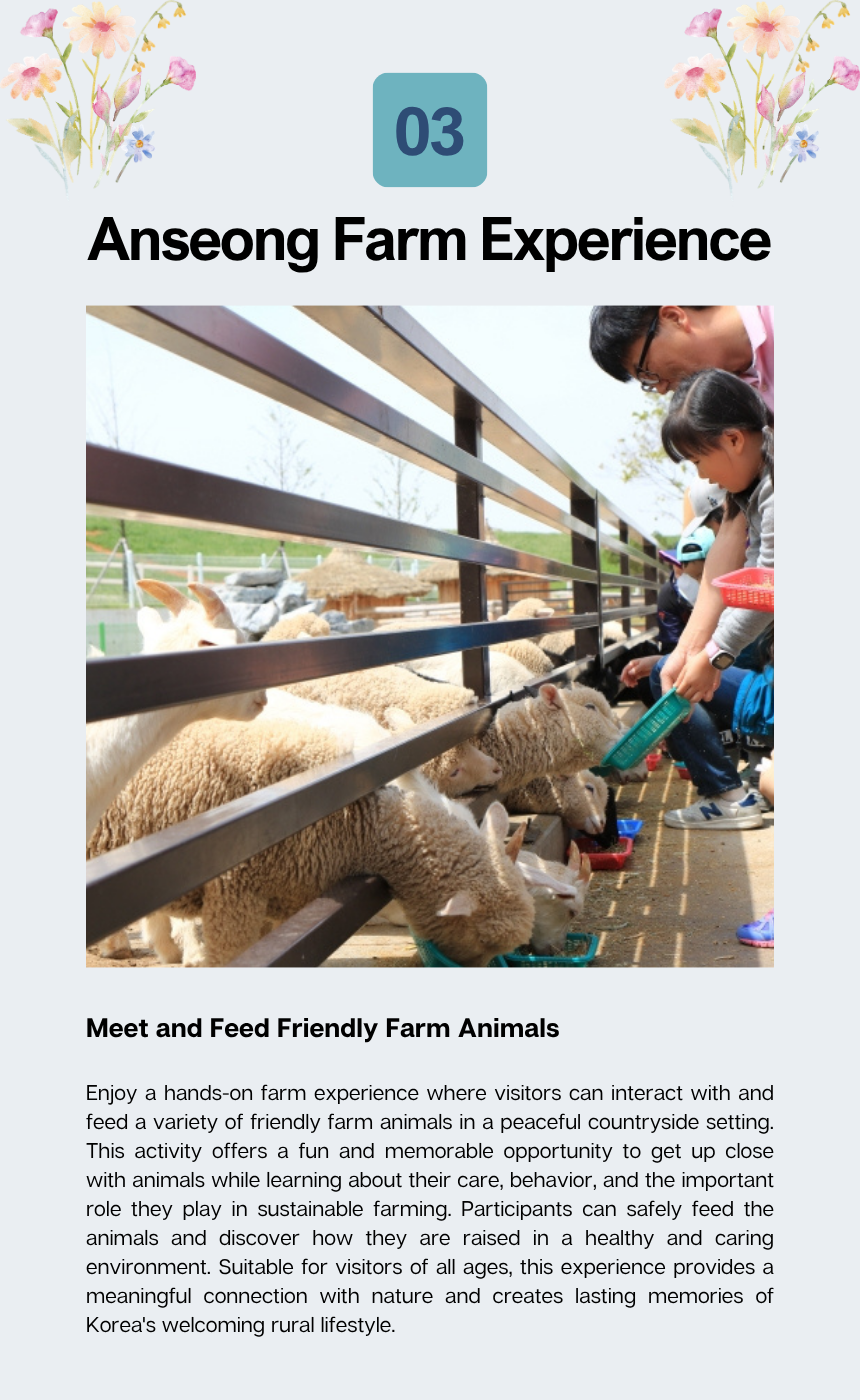 Anseong Nongshim Factory & Farmland Tour