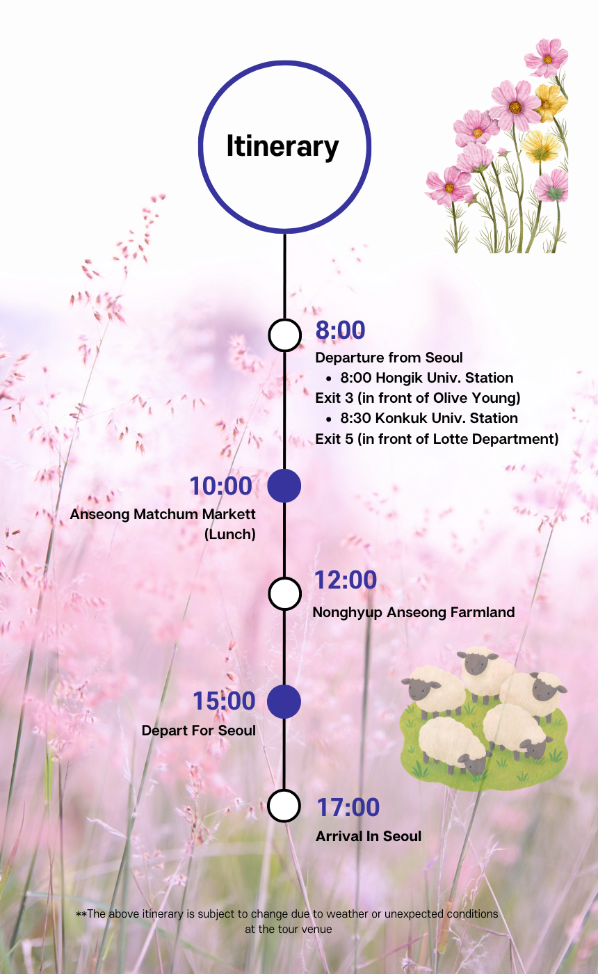 [10/24] EG Tour [T9] Anseong Farmland & Traditional Market Tour (with PINK MUHLY)
