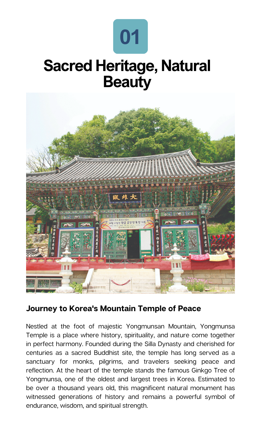 [4/26] Yangpyeong Mountain Herbs & Sheep Ranch Tour