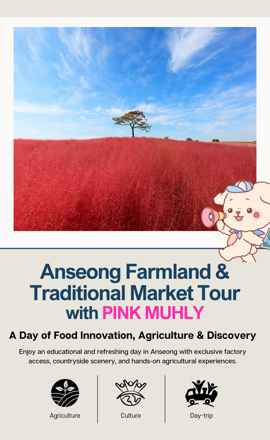 [10/24] EG Tour [T9] Anseong Farmland & Traditional Market Tour (with PINK MUHLY)