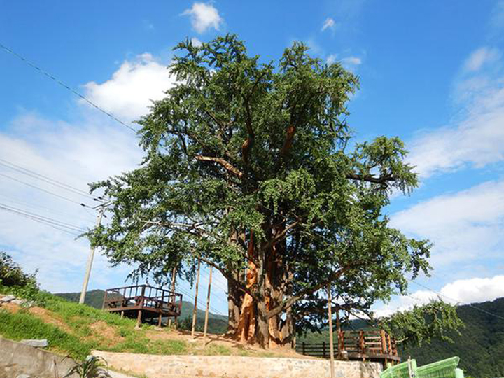 UNTAN GODO TREKKING/HIKING COURSES part 3 : Korea Tour Planner