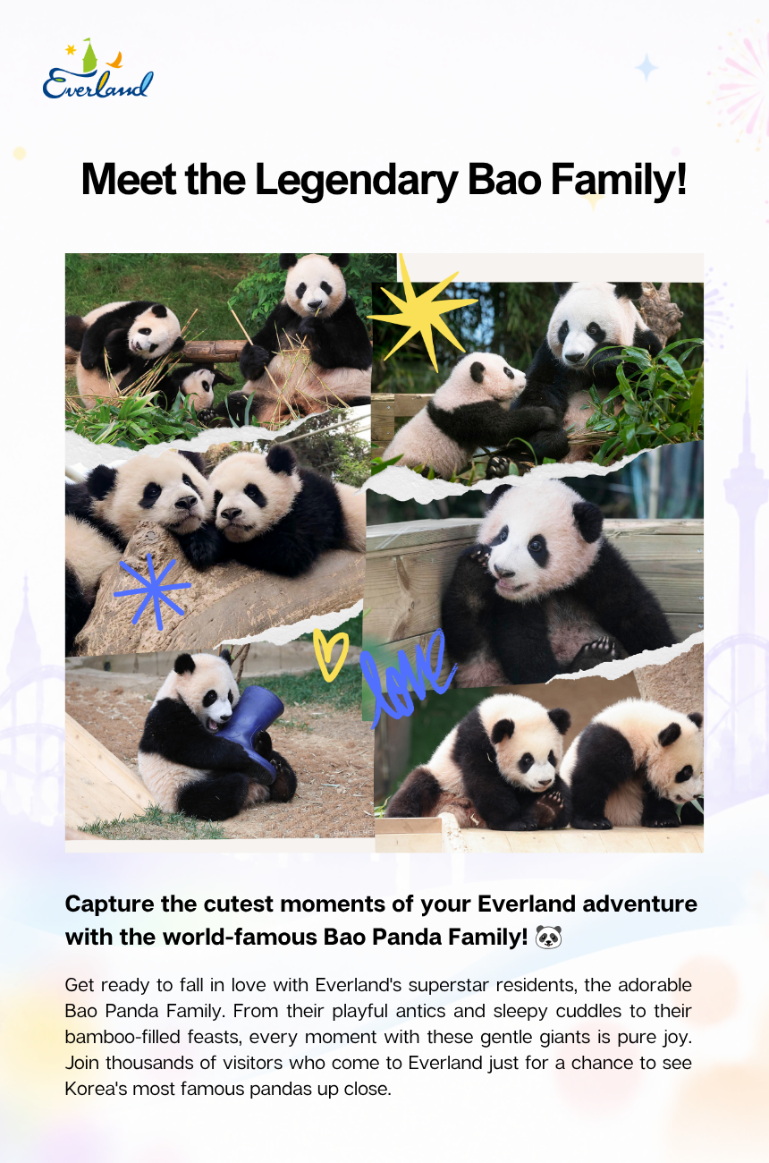Everland Theme Park - Ticket & Shuttle Package