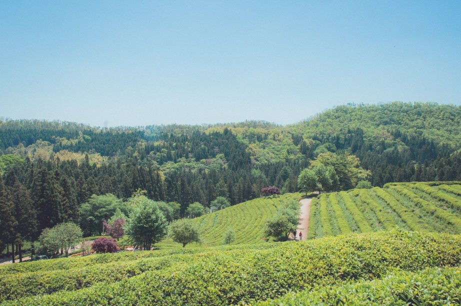 17 Amazing Rural Korea Getaways - Hedgers Abroad | South korea travel ...