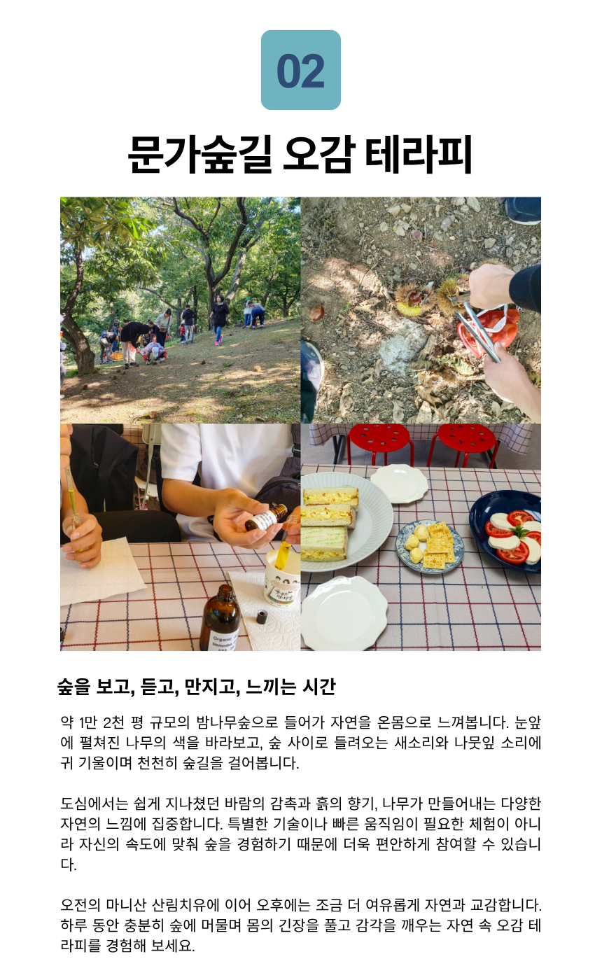 강화 마니산 氣 치유 산림테라피