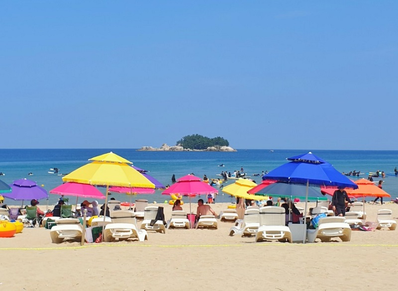 SURFING IN YANGYANG - RAINBOW BEACH & SURFYY BEACH : OutingKorea