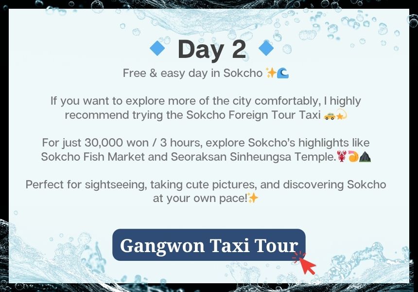 [08/22] 2026 Water Bomb in Sokcho (feat. over night *Gangneungg)🌊[SEOUL DEPARTURE]