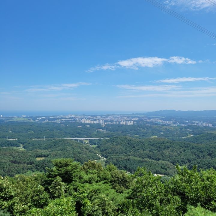 c7a606d675140.jpg