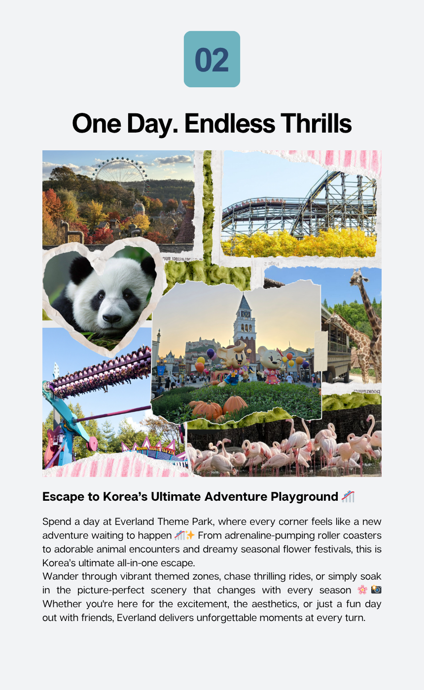 [7/11] EG Yongin Market Tour and Everland Theme Park
