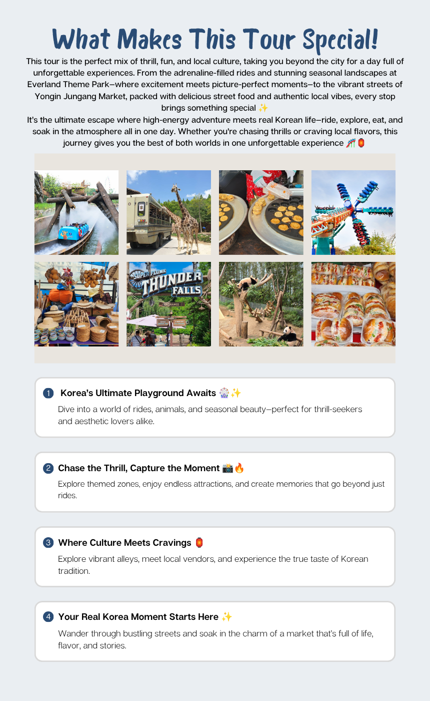 [6/13, 6/27] Everland Theme Park & Yongin Market Day Tour