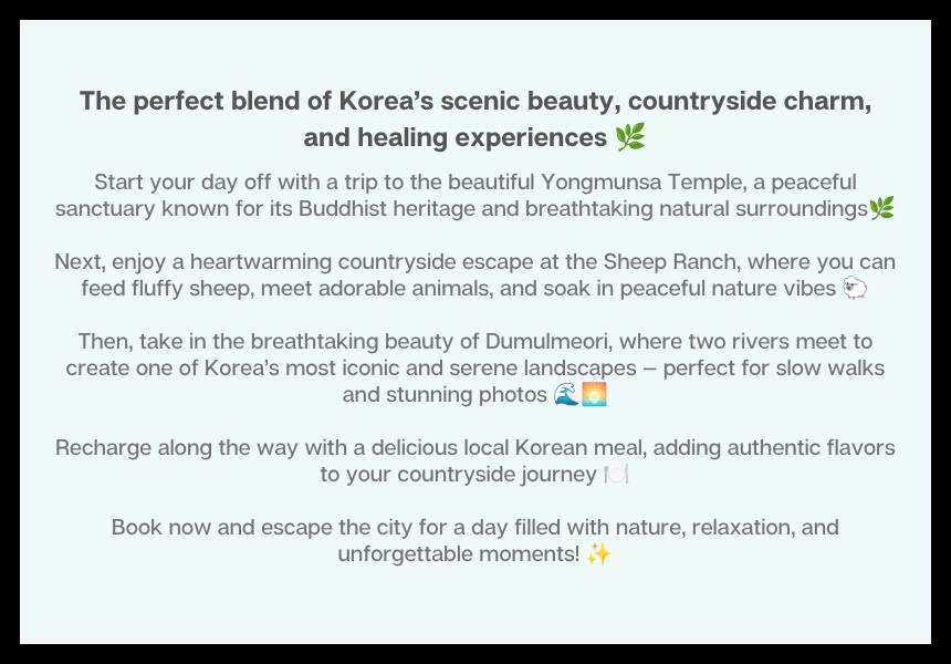 [July & Aug.] Yangpyeong Mountain & Sheep Ranch Tour