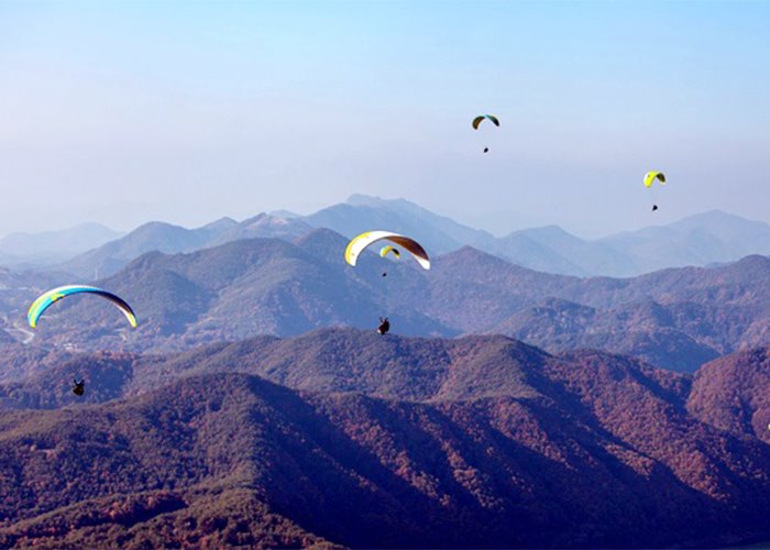 Paragliding Tour in Danyang | OnedayKorea Tours
