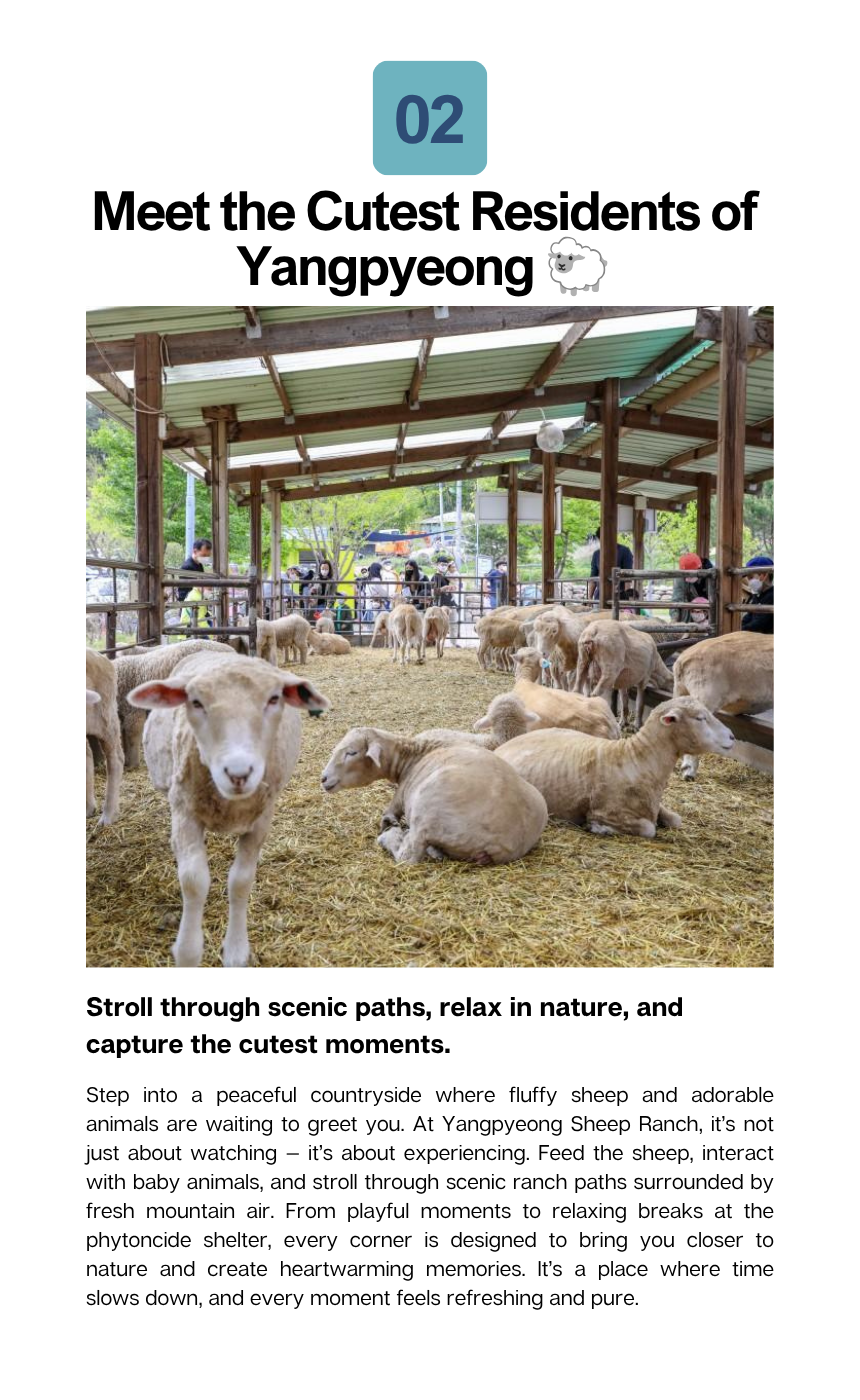[4/26] Yangpyeong Mountain Herbs & Sheep Ranch Tour