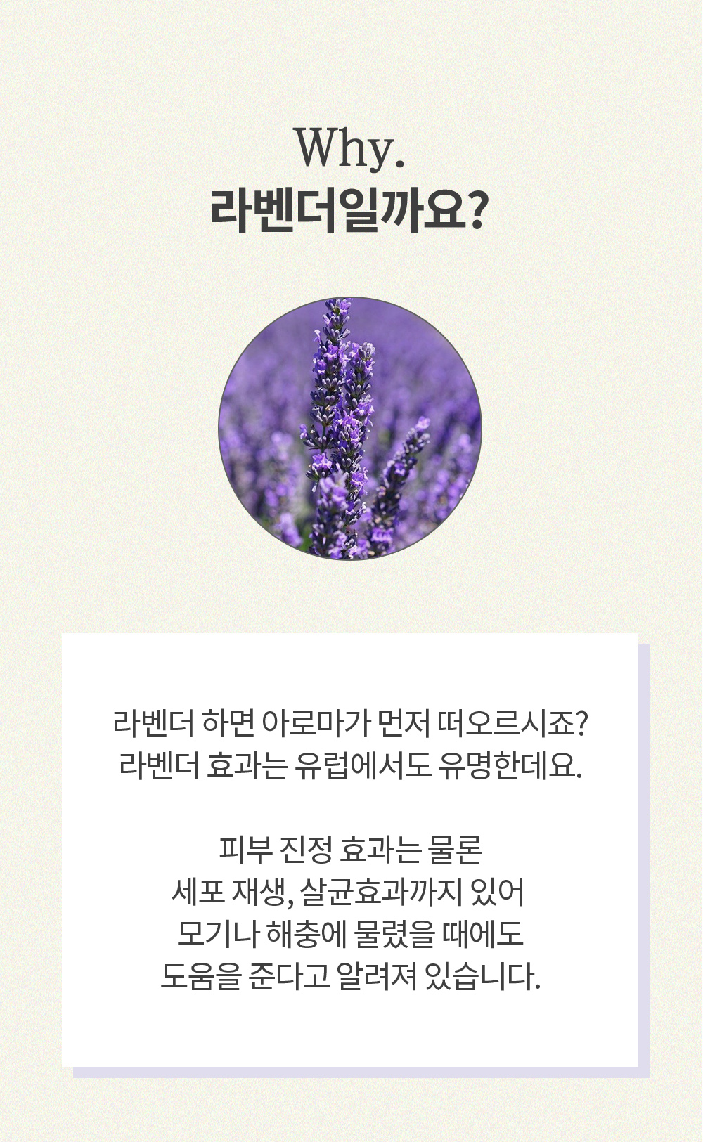 라벤더 진정밤 멀티밤 3.5g 피부진정 마스크트러블 스틱형 문제성피부
