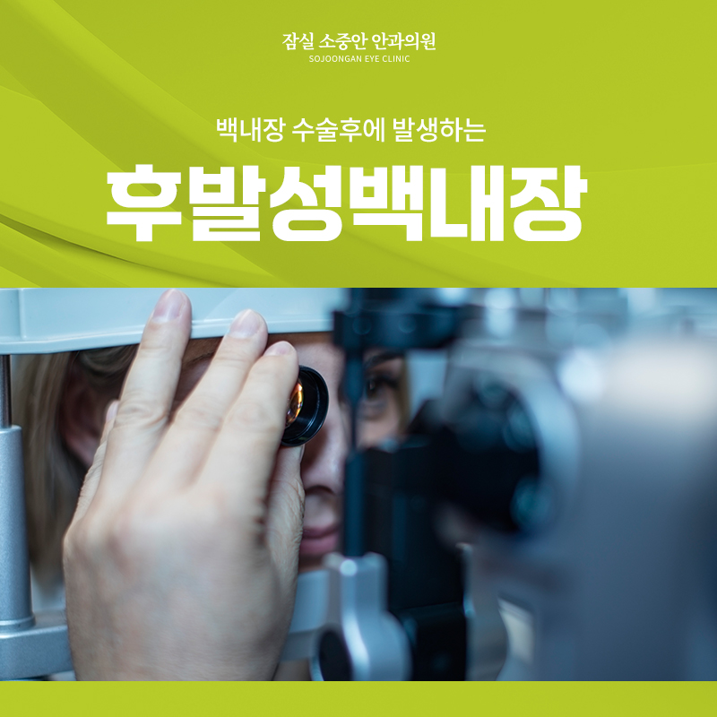 2953b5f7466be.jpg