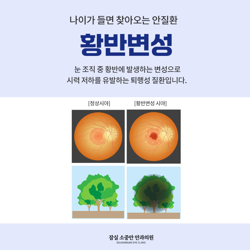 499b8196315ed.jpg