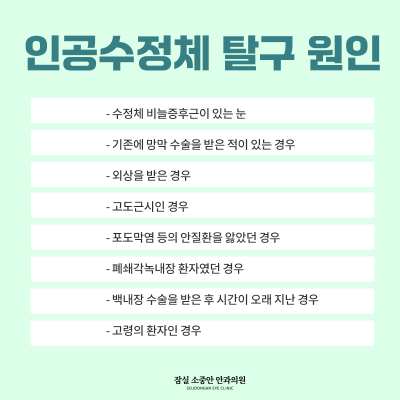 5261be1a41ca1.jpg