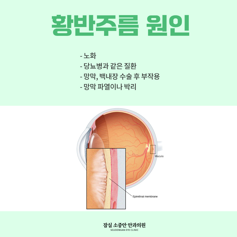 529ab5f14c045.jpg