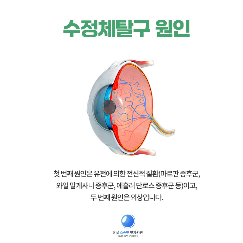 fa7a41e335d89.jpg