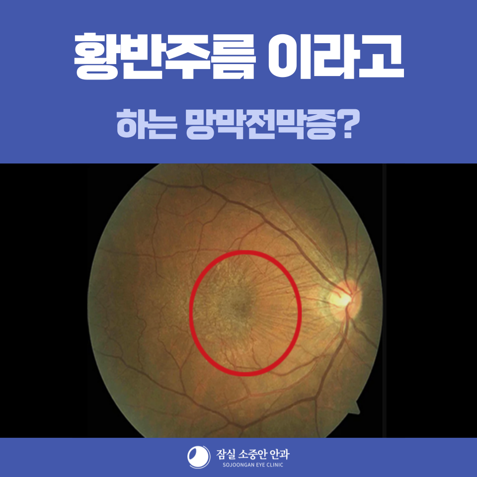 ff07369450c41.png