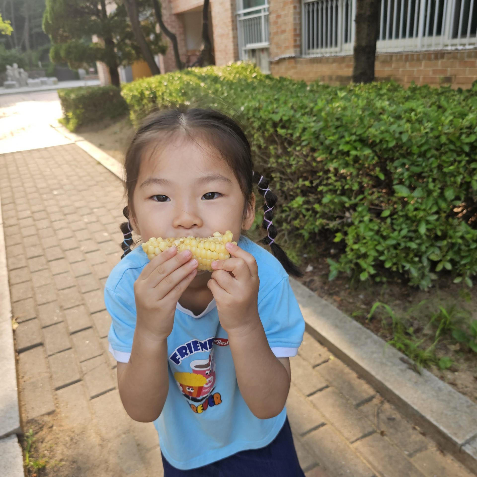 a2cf969016686.jpg