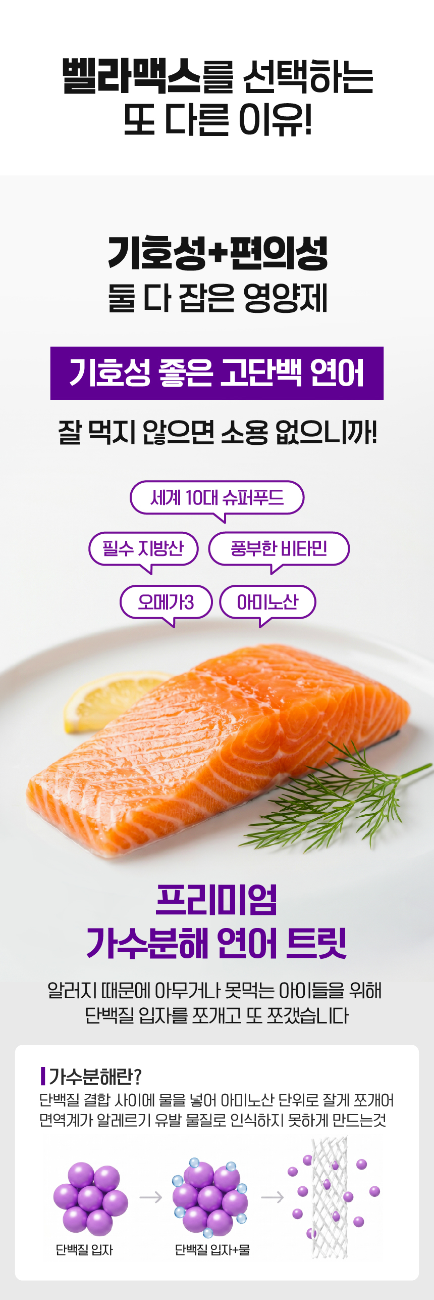 벨라맥스 SBS TV 동물농장 수의사 강아지 눈 영양제 루테인