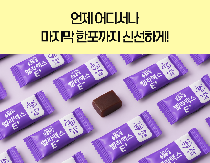 벨라맥스 SBS TV 동물농장 수의사 강아지 눈 영양제 루테인