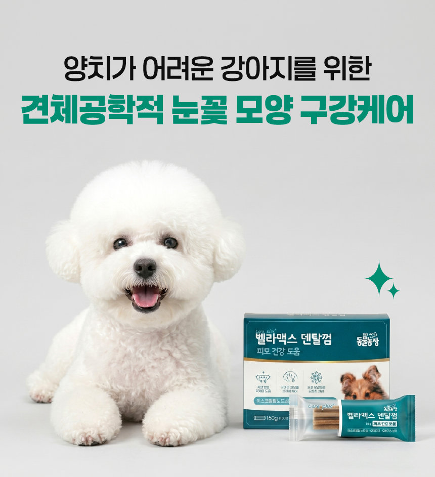벨라맥스 SBS TV 동물농장 수의사 강아지 덴탈껌