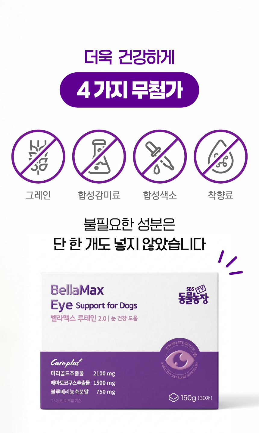 벨라맥스 SBS TV 동물농장 수의사 강아지 눈 영양제 루테인