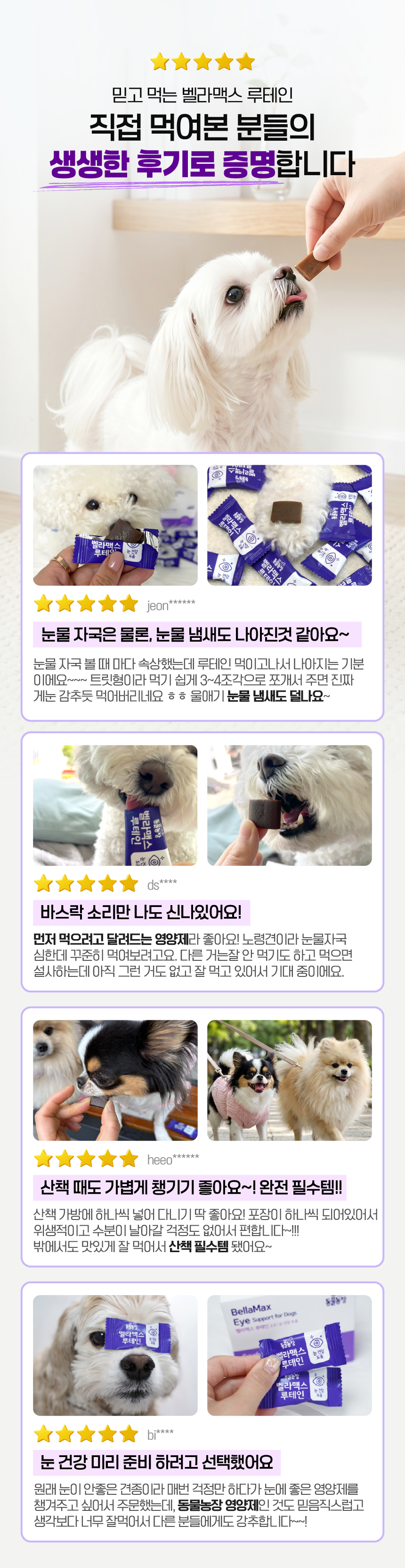 벨라맥스 SBS TV 동물농장 수의사 강아지 눈 영양제 루테인