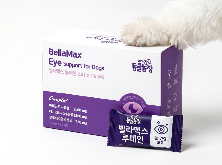 벨라맥스 SBS TV 동물농장 수의사 강아지 눈 영양제 루테인