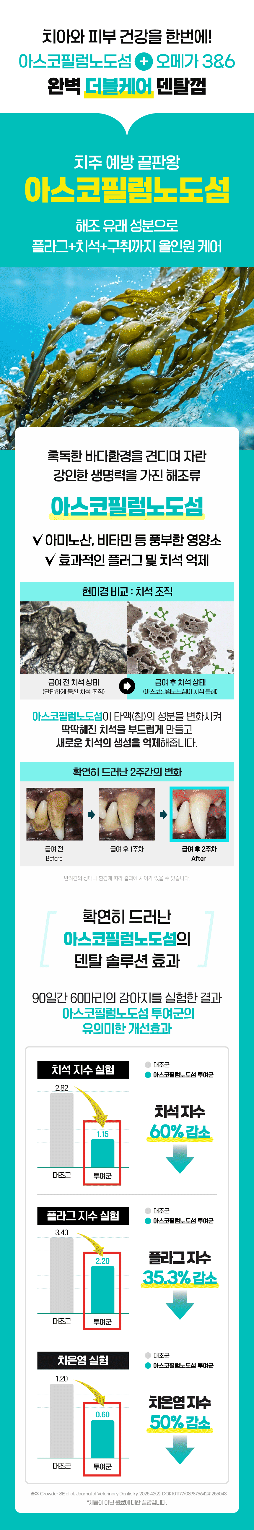 벨라맥스 SBS TV 동물농장 수의사 강아지 덴탈껌 코어 구강 유산균