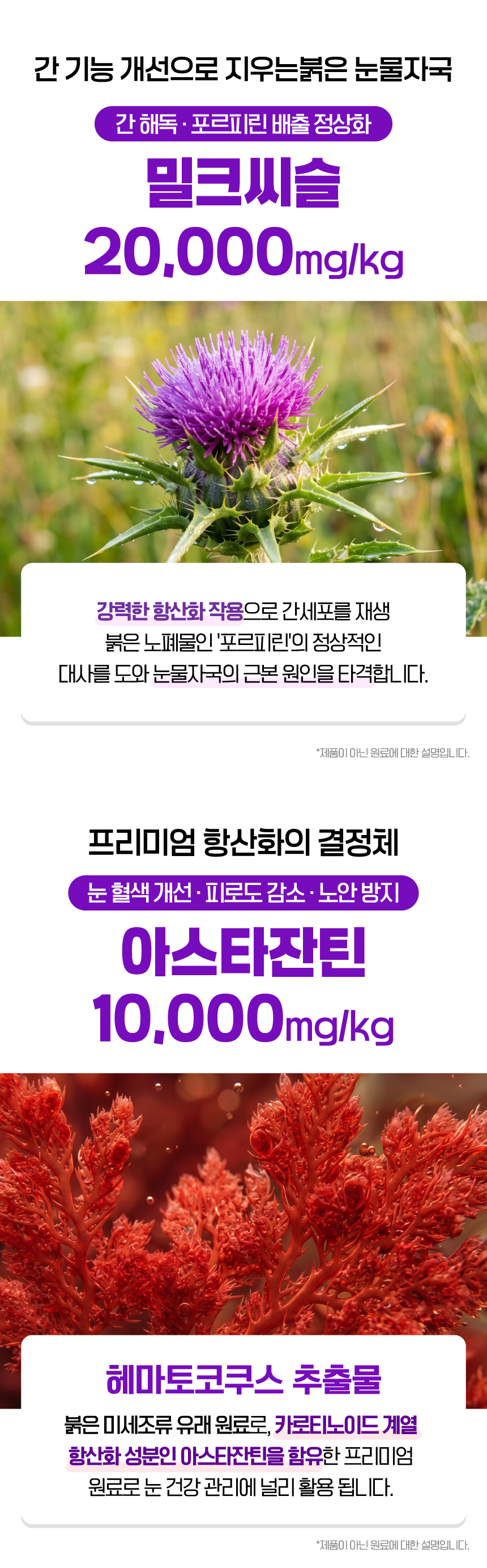 [SBS]벨라맥스 TV 동물농장 수의사 강아지 눈 영양제 루테인