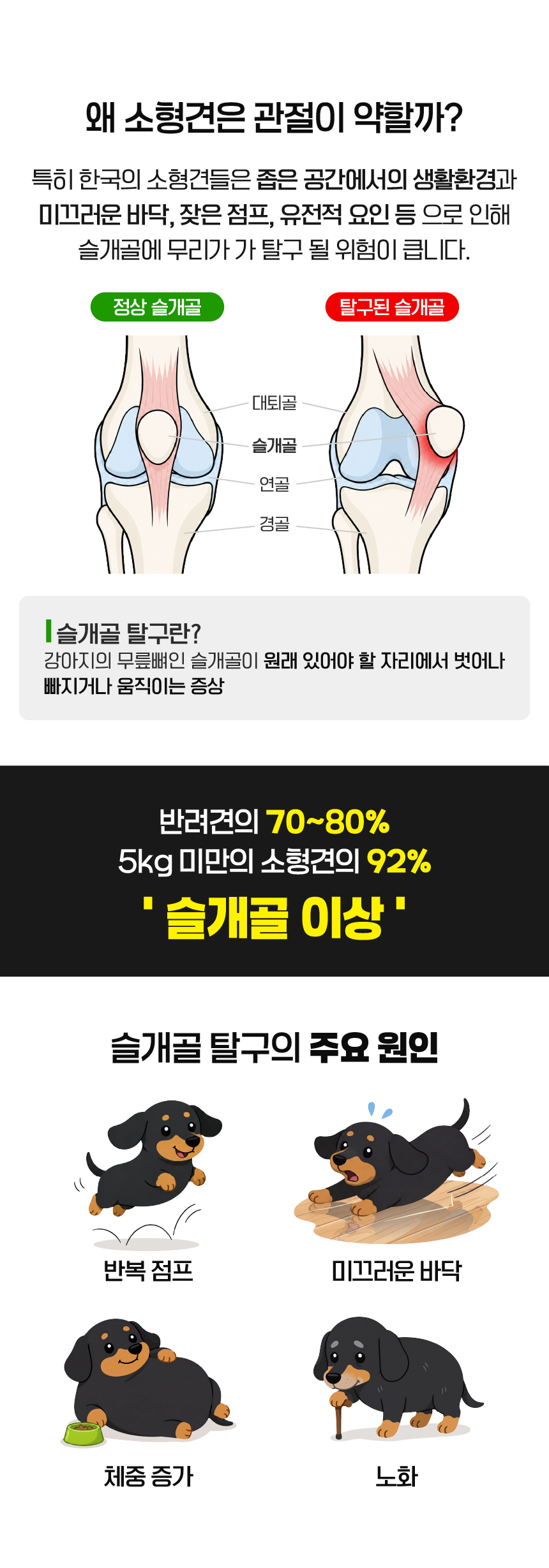 벨라맥스 SBS TV 동물농장 수의사 강아지 관절 영양제 콘드로이친
